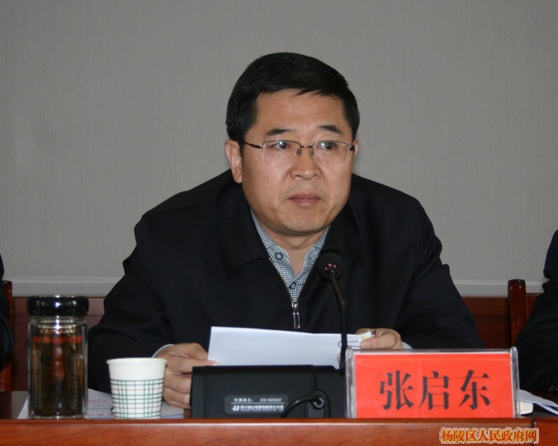 示范区党工委委员、区委书记张启东出席并讲话