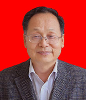 巩振辉
