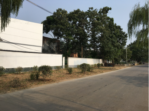 杨武路沿线墙面刷白及杂草清理