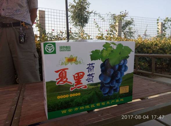 QQ图片20170804191003.jpg