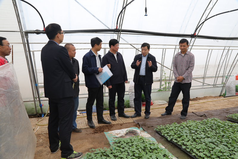 贾乃荣一行参观残疾人扶贫基地