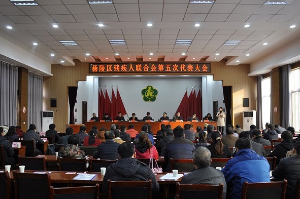 第五次残代会开幕式