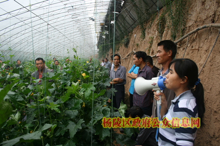 我区召开设施农业发展流动现场会