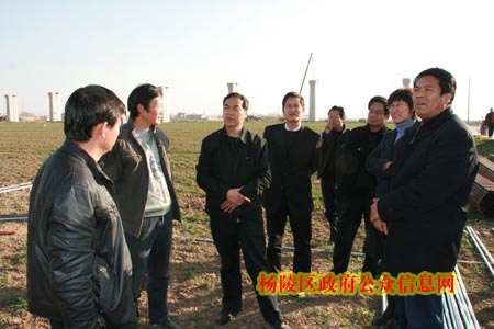 董胜利等领导检查设施农业三期建设进展情况