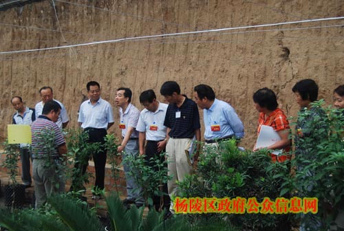 区人大视察代表建议办理工作落实情况