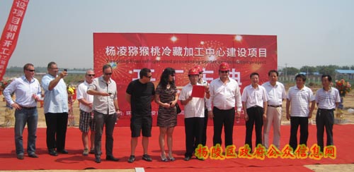 杨凌猕猴桃冷藏加工中心建设项目举行开工仪式
