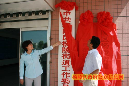 杨陵街道办事处举行揭牌仪式