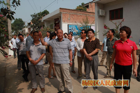 我区召开农村环境整治“四化三提升”现场推进会