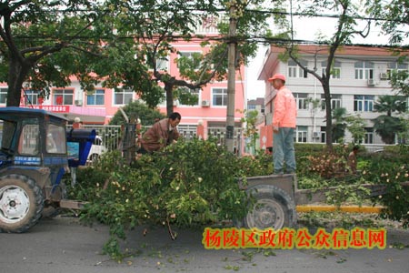 我区各单位落实区整治环境卫生动员会精神行动迅速