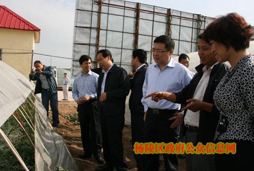 梁桂深入我区调研现代农业发展及农民增收工作