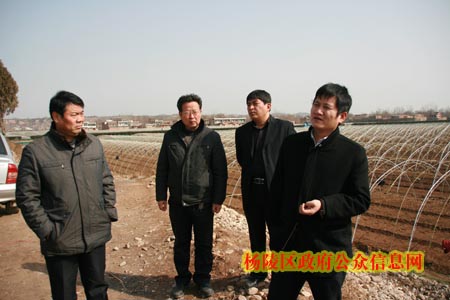 再鼓干劲 全面完成设施农业三期各项建设任务