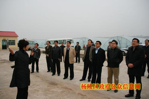 中央政研室科技部中央党校专题调研组到我区调研