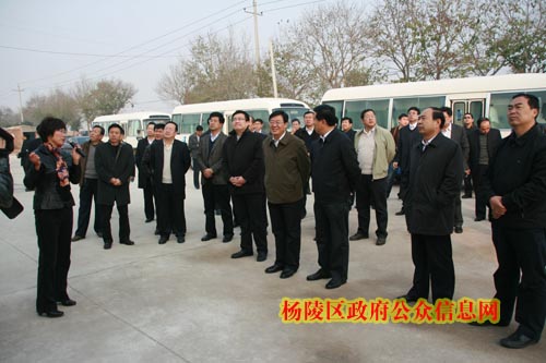 榆林市委书记李金柱率团来我区参观考察现代农业