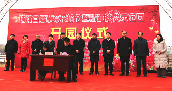 杨陵首届草莓采摘节暨杨凌现代农业精准扶贫示范园开园仪式隆重举行