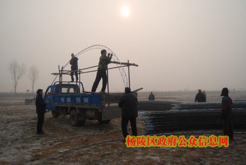 寒冷天气挡不住大棚建设的干劲