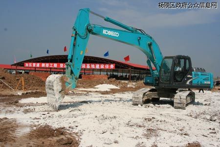 杨凌生猪养殖实训基地建设正全力推进