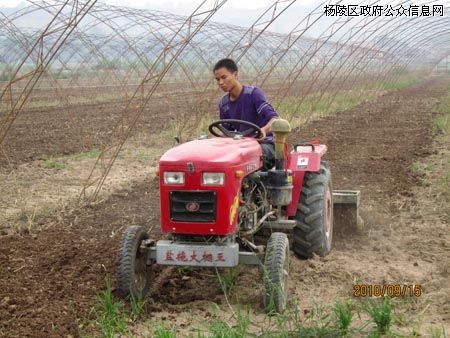 揉谷基地1700亩塑料大棚正在加紧建设