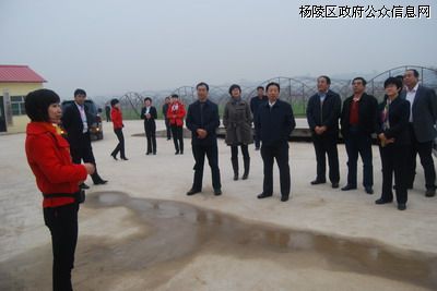 定边县代表团参观我区现代农业建设