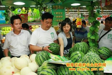 杨凌西瓜走进西安大型超市