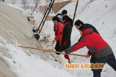 杨陵区迅速行动 周密部署 积极应对连续降雪天气