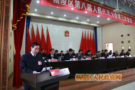 区人大八届三次会议举行第二次全体会议