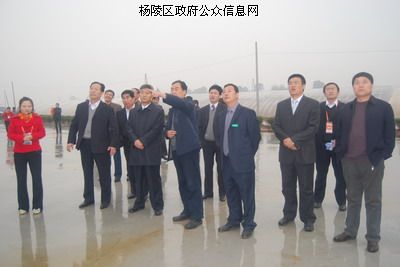 渭南市代表团参观我区现代农业建设