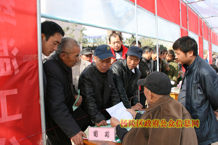 百名专家现场咨询为农民送去致富“金钥匙”