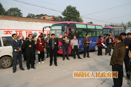 区人大视察我区城乡环境卫生综合治理情况