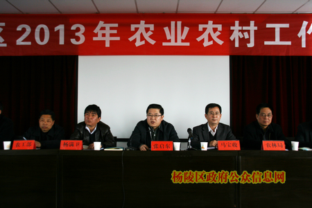 我区召开会议安排部署2013年农业农村工作