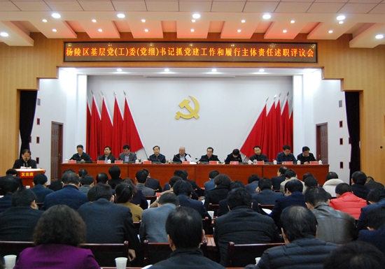 杨陵区召开基层党（工）委（党组）书记抓党建工作和履行主体责任述职评议会