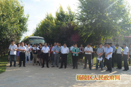在咸省十二届人大代表来我区调研现代农业发展等情况
