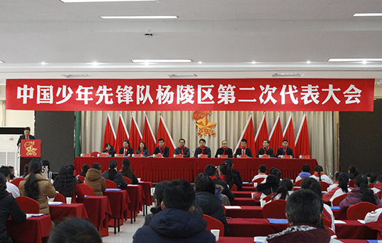 中国少年先锋队杨陵区第二次代表大会胜利召开