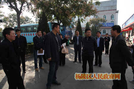 张启东带队检查我区农高会筹备情况