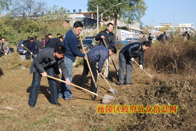 我区机关干部集中整治重点区域环境卫生