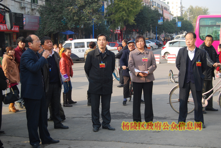 任博带队视察代表建议办理和城乡环境治理工作