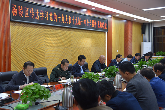 杨陵区召开传达学习党的十九大和十九届一中全会精神（视频）会议