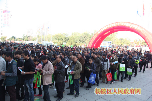 农高会各展馆前参观群众排起长龙