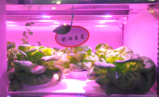 光电化的无土种植箱