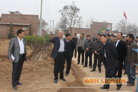 杨陵区召开春季绿化工作流动现场会