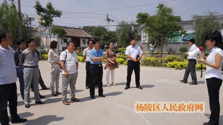杨陵区领导带队考察大荔县美丽乡村建设情况
