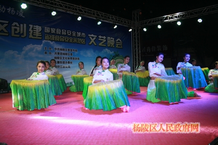 杨陵区举办“双创”文艺晚会