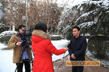 代表热议区委八届七次全会工作报告和十三五规划纲要