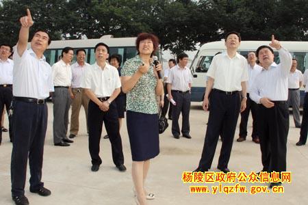 李学勇等领导考察我区标准化生产示范园区