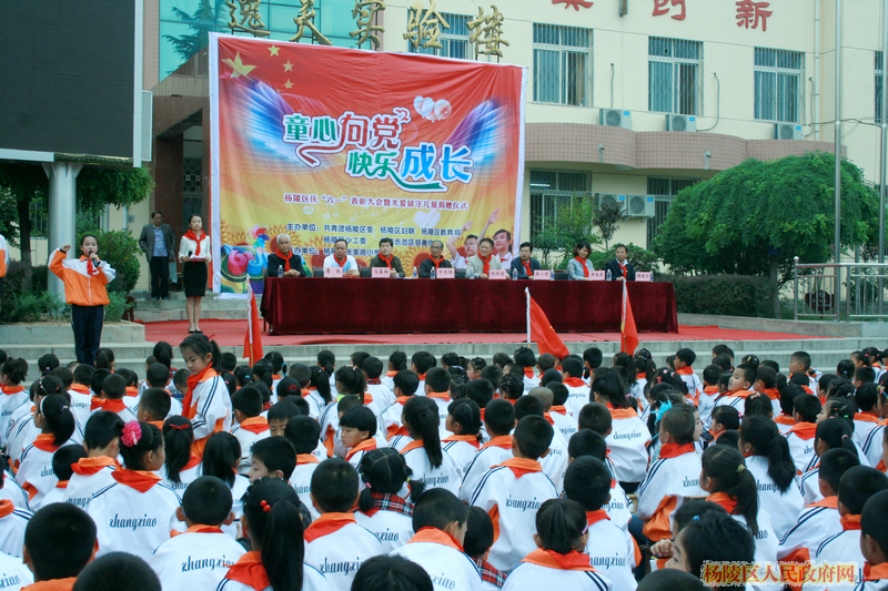 杨陵区举行庆祝“六一”儿童节表彰大会暨关爱留守儿童捐赠仪式