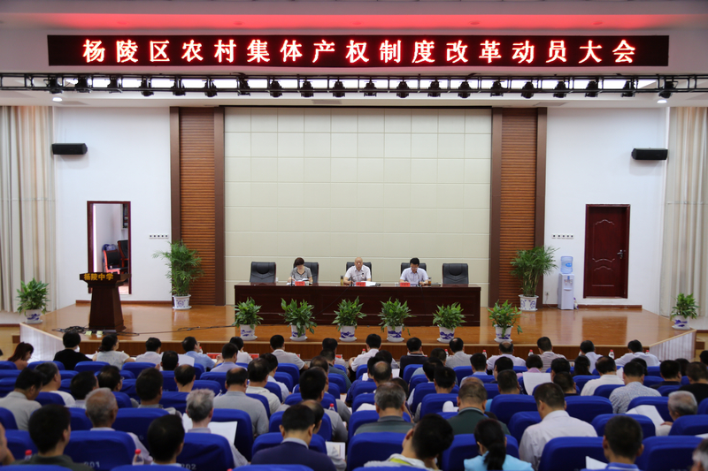 杨陵区召开农村集体产权制度改革动员大会