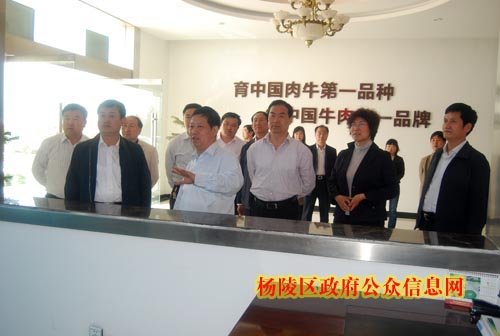 吴起县政府代表团来我区考察现代农业发展情况
