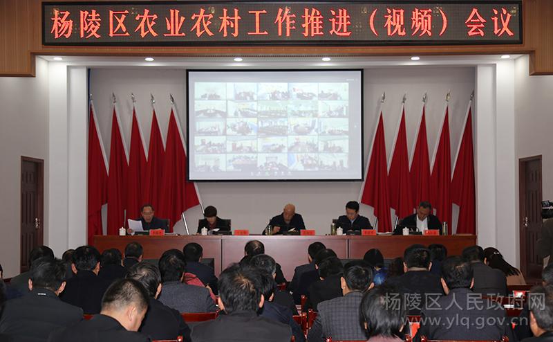 杨陵区召开农业农村工作推进（视频）会议
