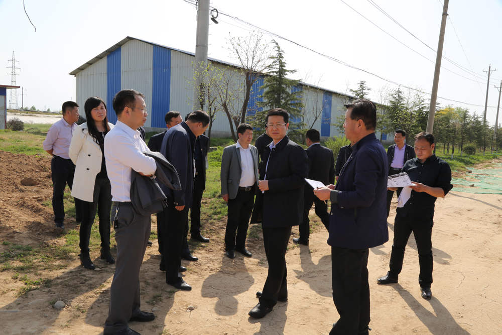 单舒平带队检查2018杨凌农科城国际马拉松赛道沿线环境卫生整治工作