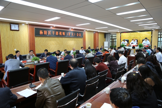 杨陵区召开全区干部视频（扩大）会议