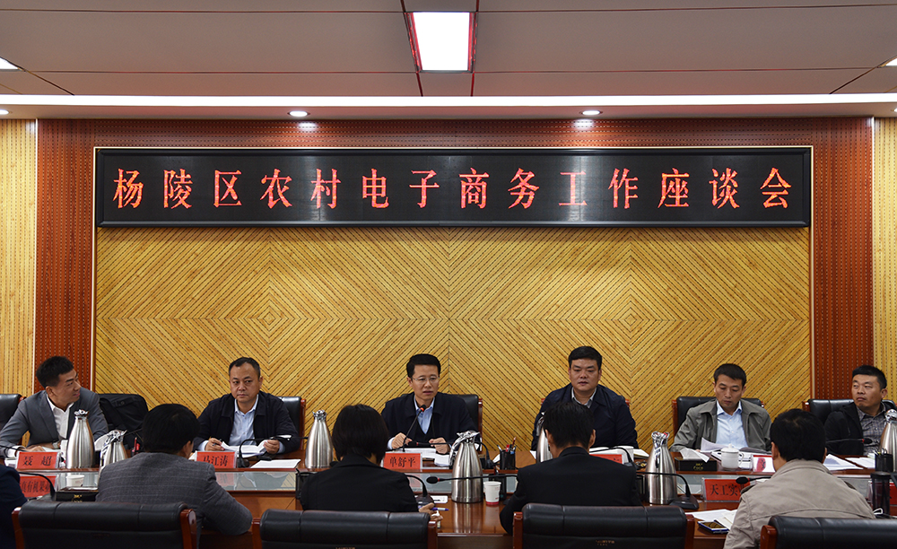 杨陵区召开农村电子商务工作座谈会